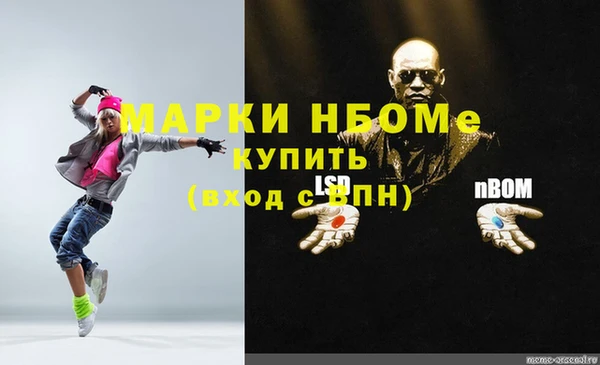 мдпв Богородск