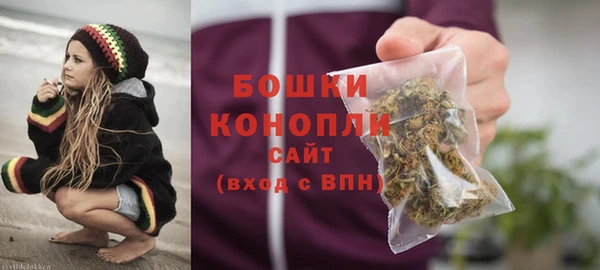мдпв Богородск
