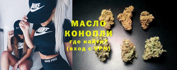 мдпв Богородск