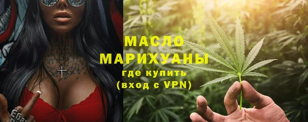 гидра Няндома